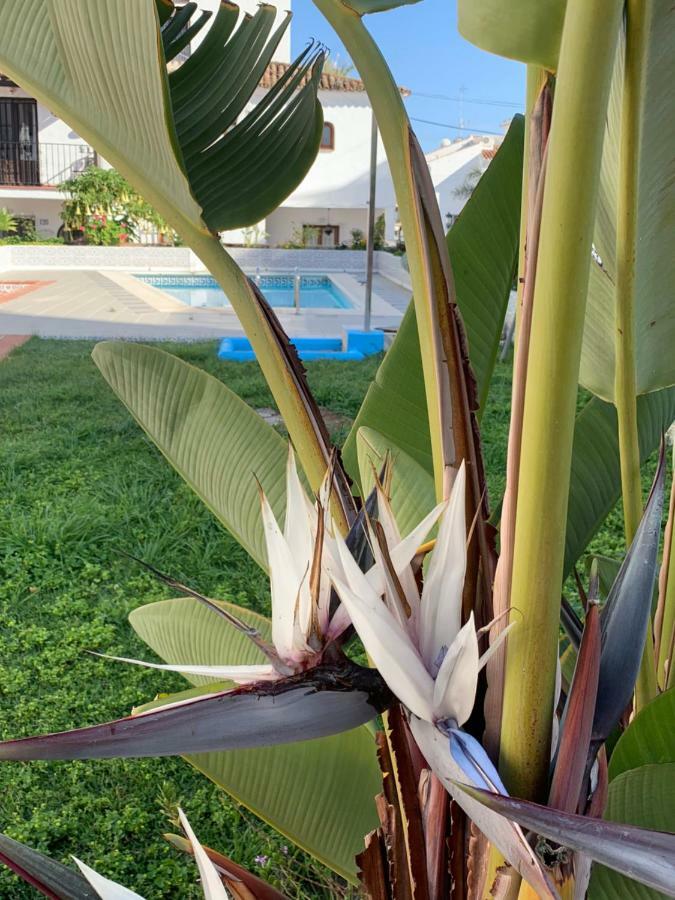 Villa Casa Maria Nerja Esterno foto